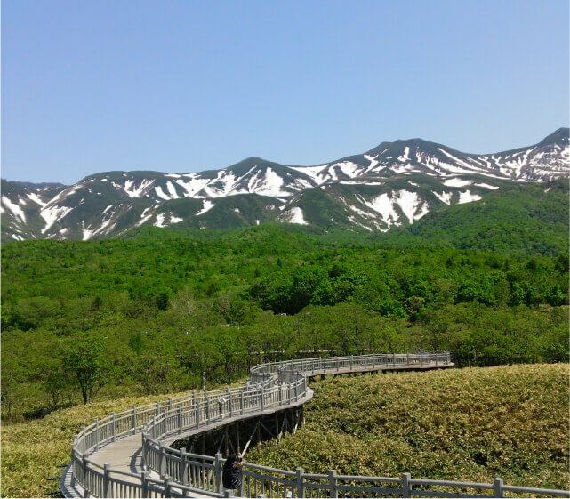 日本 北海道／知床半島の画像
